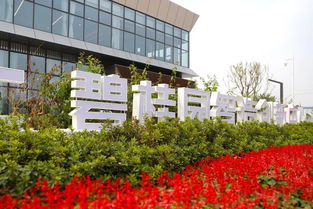 謝崗鎮碧桂園智造創新中心展廳項目首期展廳正式開放